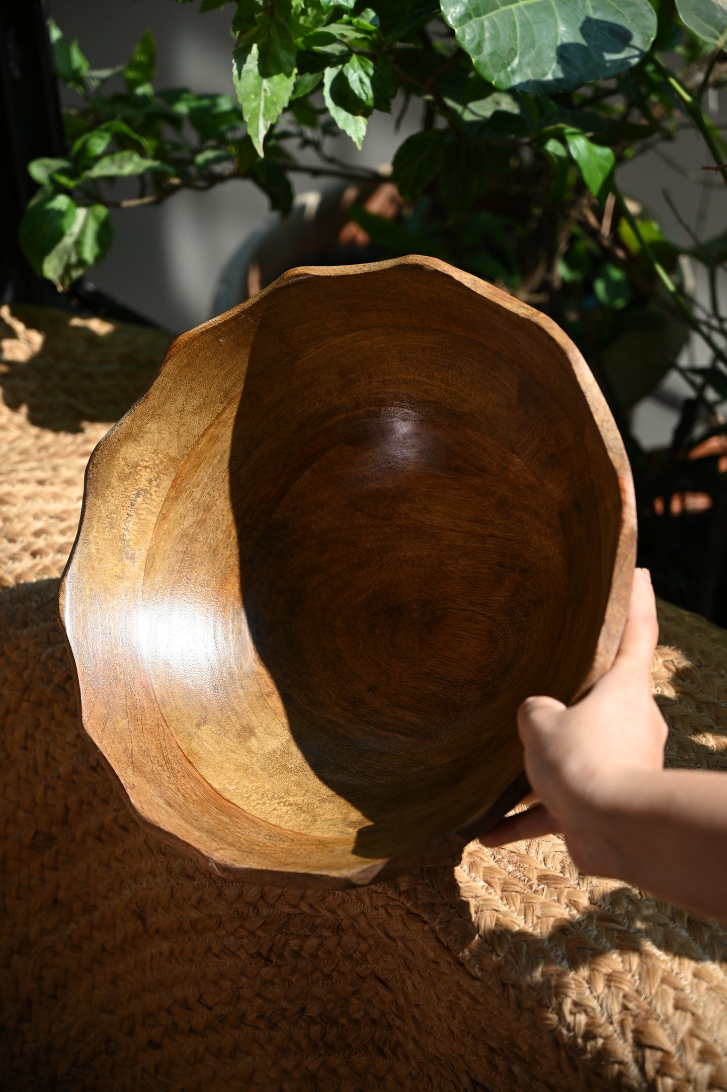The Scallop Harvest Bowl